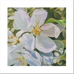 Ensemble - Apple Blossom flower painting Posters and Art